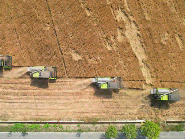 ZOOMLION Machine Escort Summer Grain Harvest